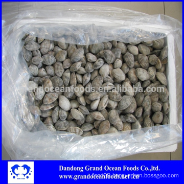 Frozen raw clams in hot sale